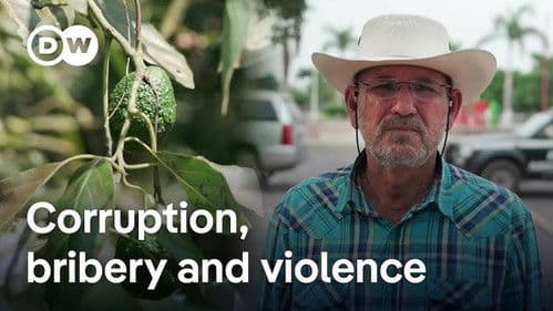 The cartels that control Mexico's mega market