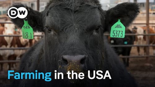 Agribusiness in the USA - The dark side of productivity and profitability