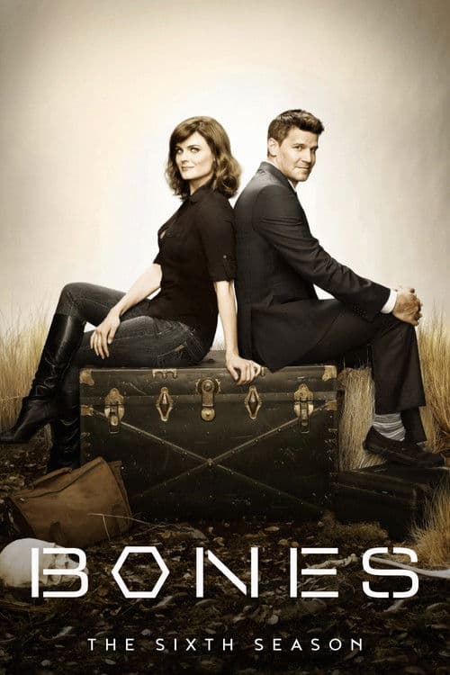 Season 6