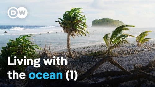 Treasure islands in the Pacific (1/2)