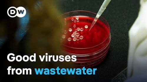 Is there an effective alternative to antibiotics?