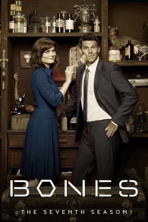 Season 7