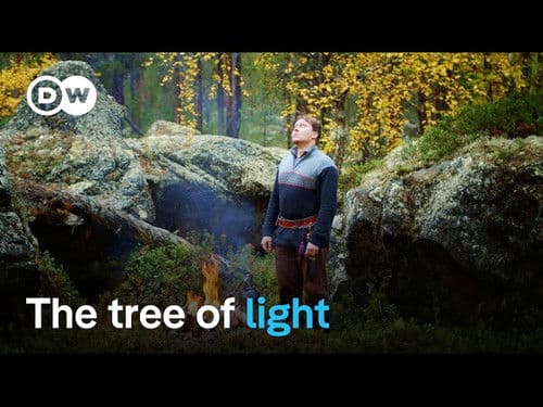 The sacred birches of the Taiga