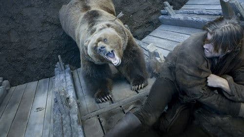 The Bear and the Maiden Fair